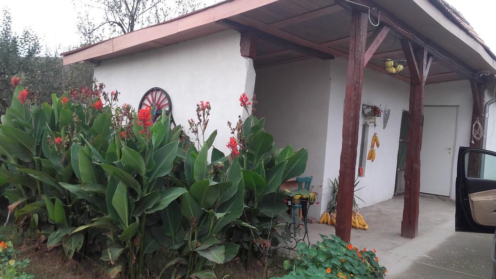 Legenda Anotimpurilor Villa Alma Exterior photo