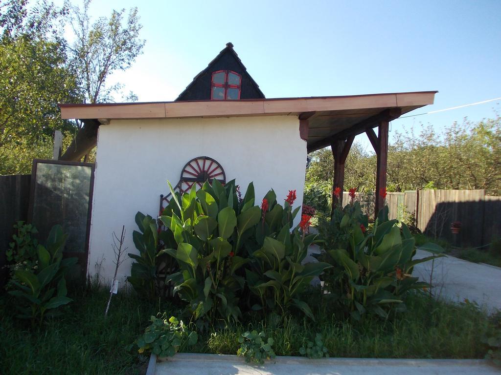 Legenda Anotimpurilor Villa Alma Exterior photo