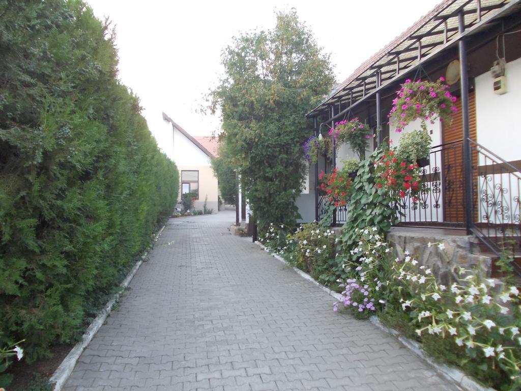 Legenda Anotimpurilor Villa Alma Exterior photo