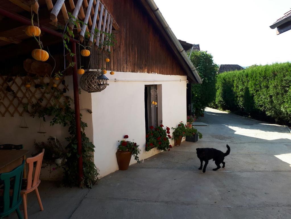 Legenda Anotimpurilor Villa Alma Exterior photo