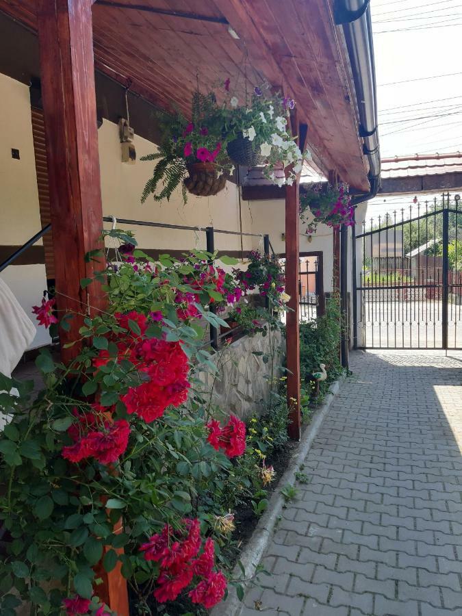 Legenda Anotimpurilor Villa Alma Exterior photo